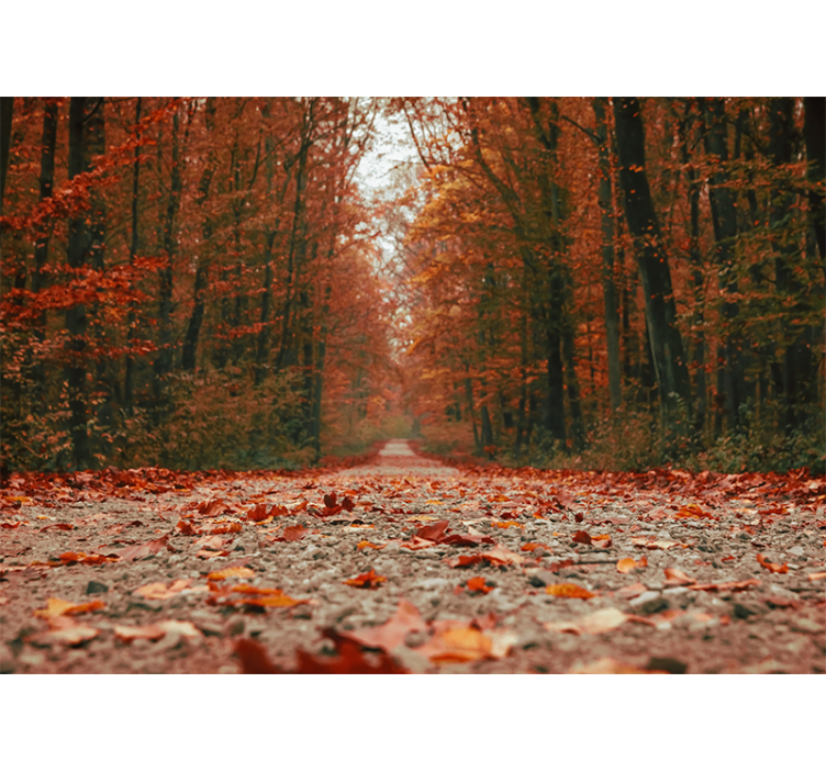 Rollo wohnzimmer mit schönen bunten herbstblättern - TenStickers