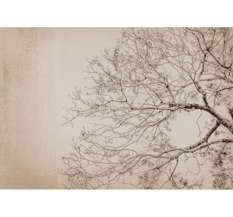Rollo fenster beige im japandi floralen stil - TenStickers