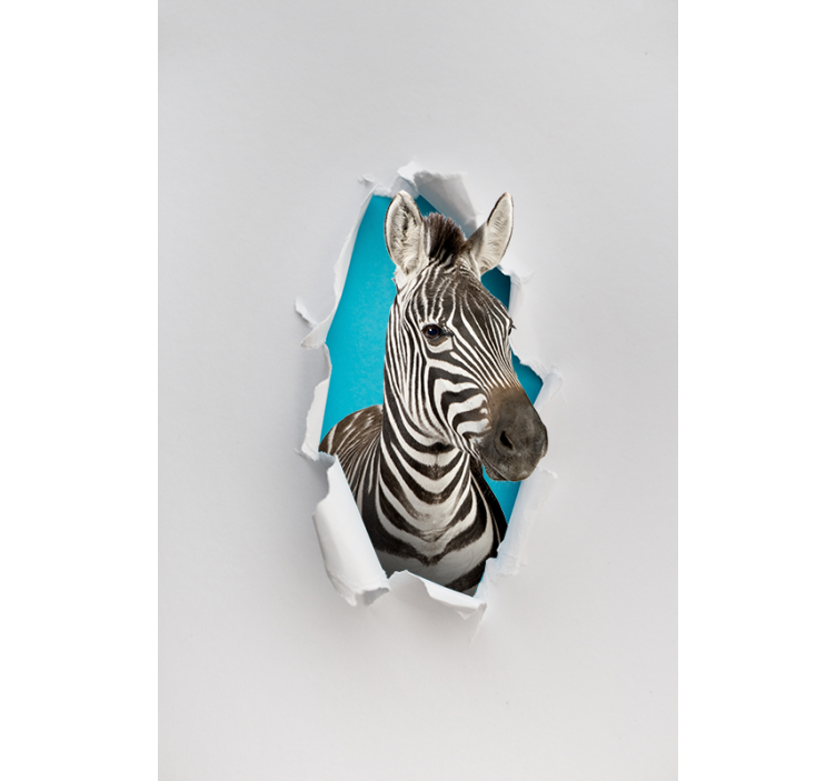 Zebra verschiedene Tier Rollo - TenStickers