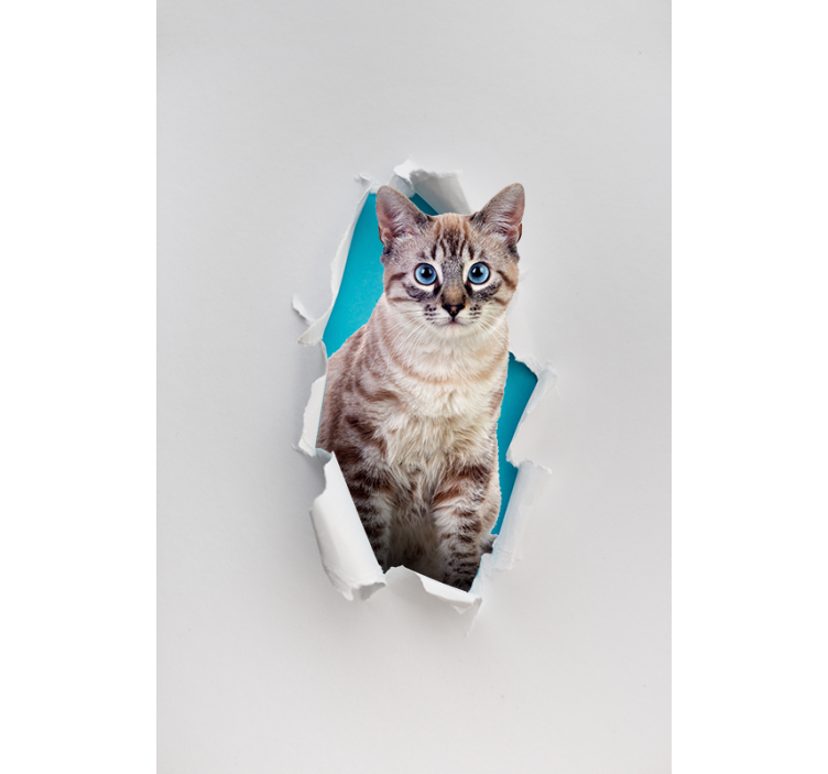 Katze verschiedene tierrollo - TenStickers