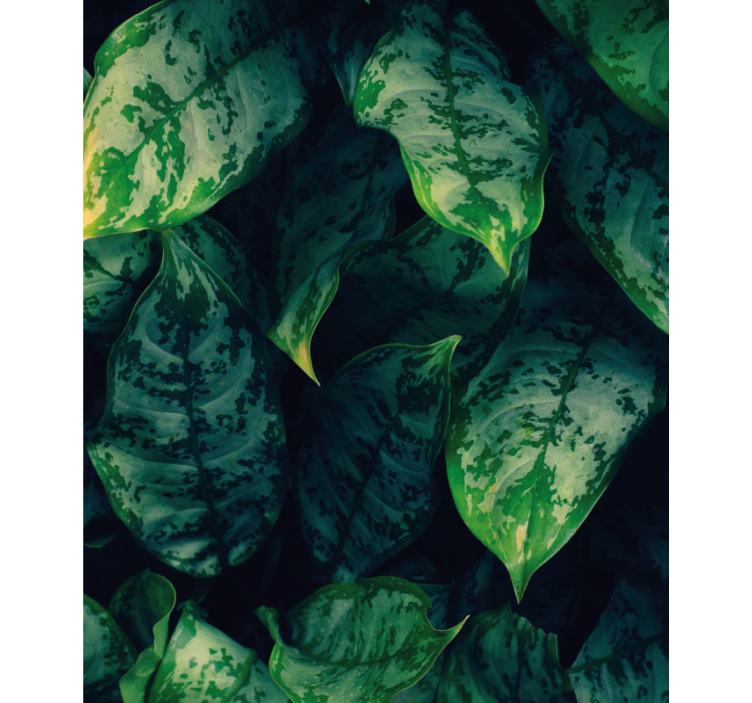 Rollo Fenster Blumen und Pflanzen leuchtend grüne blätter - TenStickers