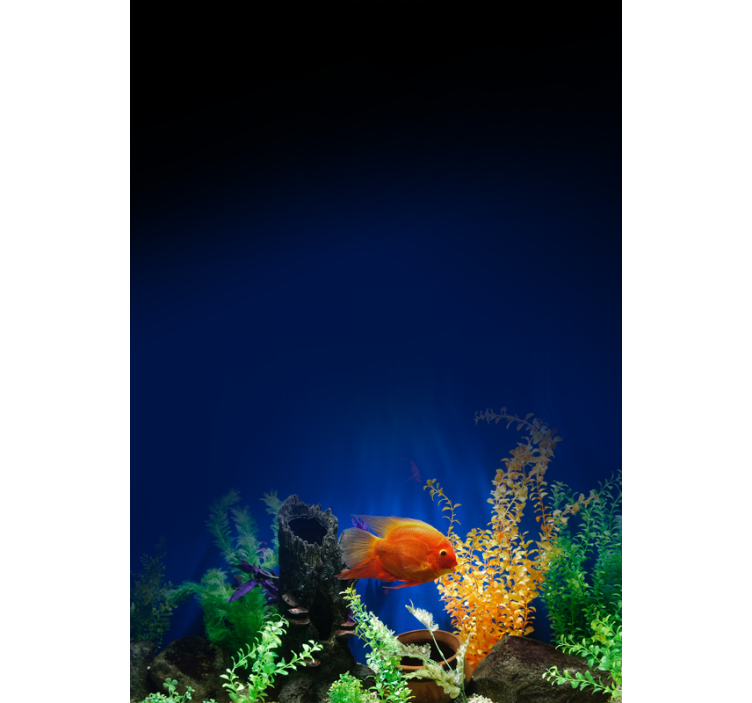 Rollo mit Tieren Aquarienleben - TenStickers