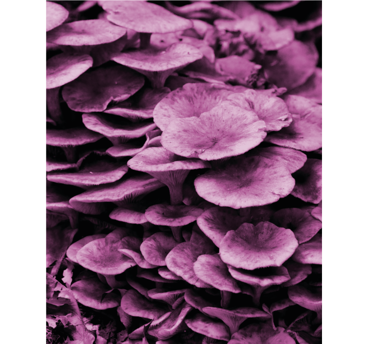 Rollo fenster blumen und pflanzen lebendige blütenlagen - TenStickers