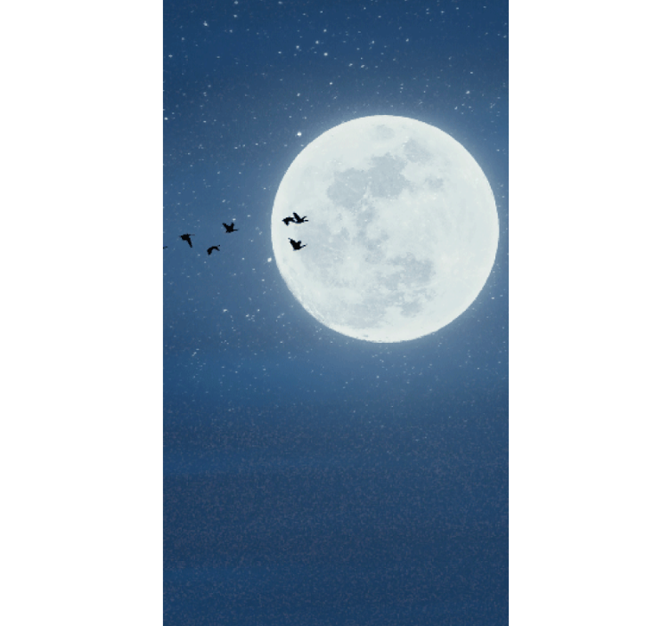 Rollo Wohnzimmer mit Vollmond und himmel - TenStickers