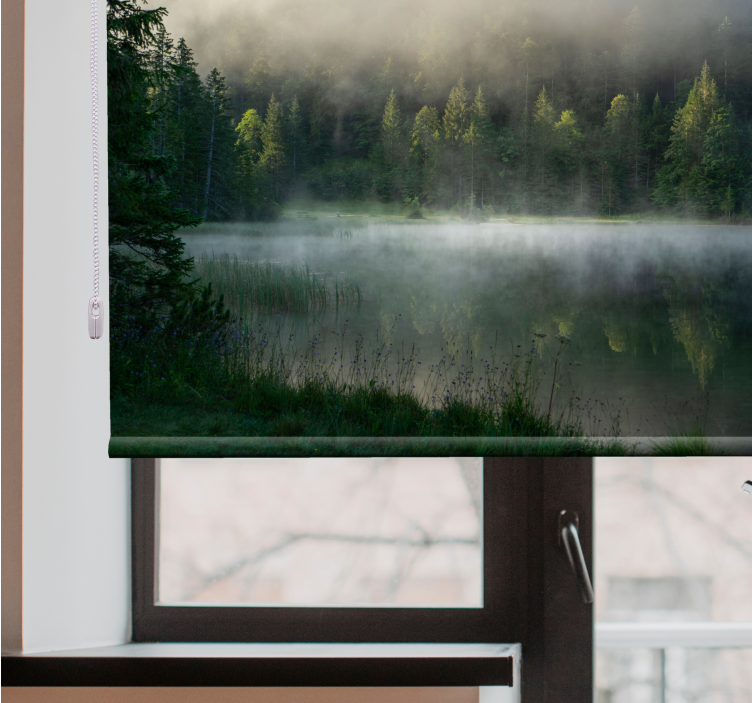 Rollo Fenster Baum nebligen wald reflexion - TenStickers