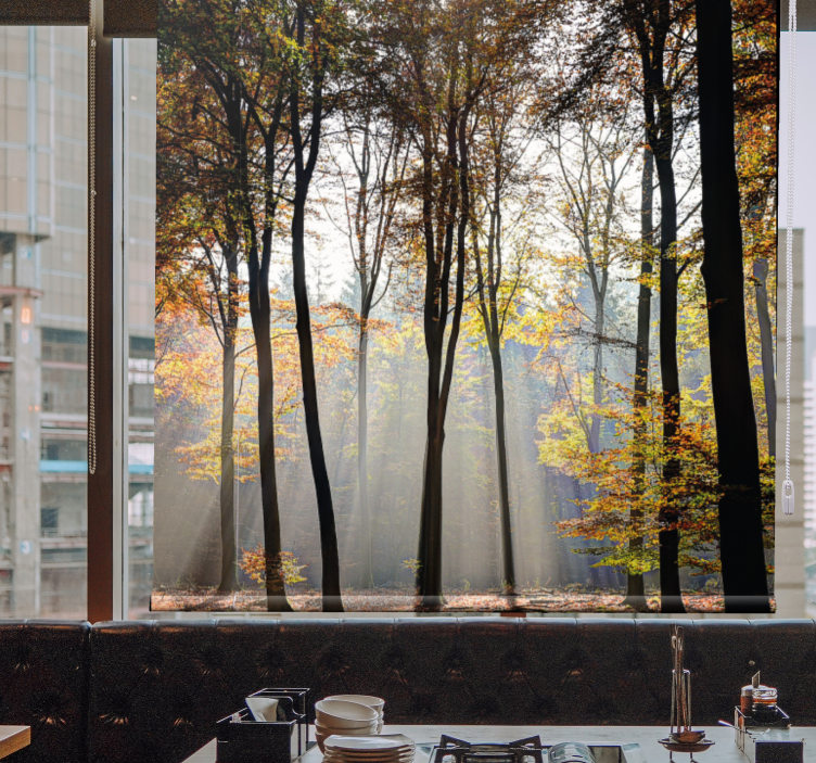 Rollo Fenster Baum sonnenbeschienene waldszene - TenStickers