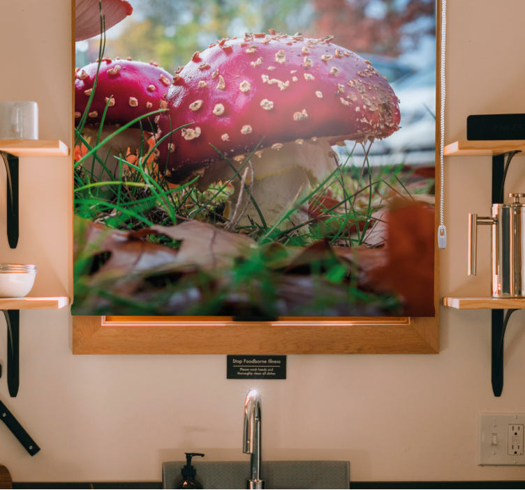 Rollo Fenster Blumen und Pflanzen leuchtend rote pilze - TenStickers