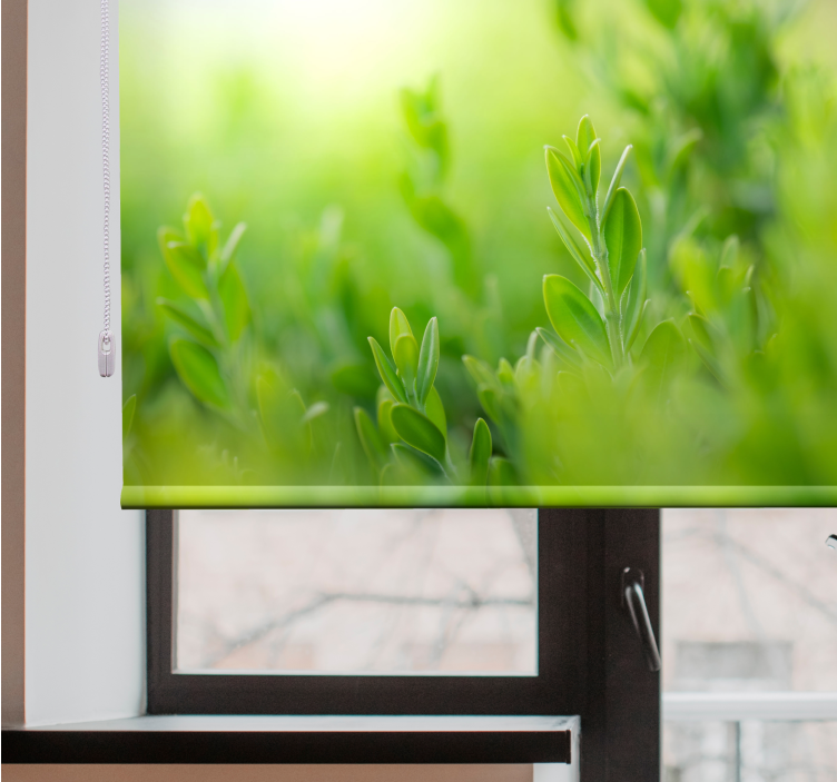Rollo Fenster Blumen und Pflanzen üppiges grünbild - TenStickers