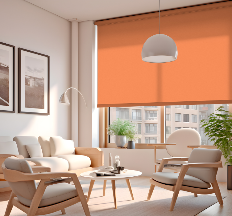 Rollos Wohnzimmer WGSN 2024 Apricot Crush - TenStickers
