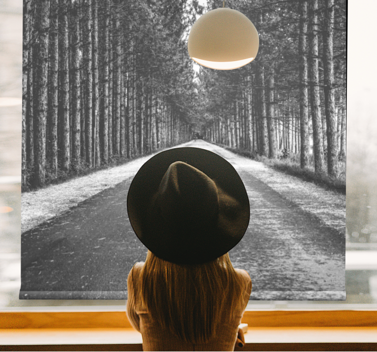 Weitere Fenster Rollos ruhiger waldweg - TenStickers