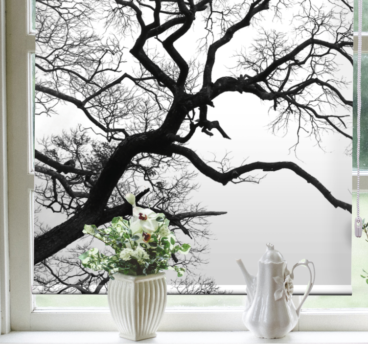 Rollo mit Zeichnungen Einzelner holzastbruch - TenStickers