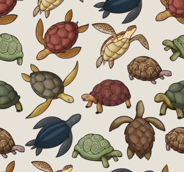 Rollo fenster kinderzimmer mit verschiedenen schildkröten - TenStickers
