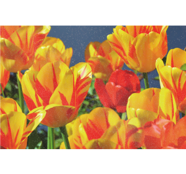 Rollo wohnzimmer mit roten und gelben tulpen - TenStickers