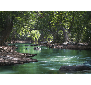 Rollo wohnzimmer wald und fluss - TenStickers