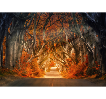 Rollo wohnzimmer mit schöner aussicht vom waldweg - TenStickers