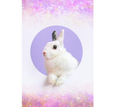 Weisses Kaninchen Tier Rollo - TenStickers