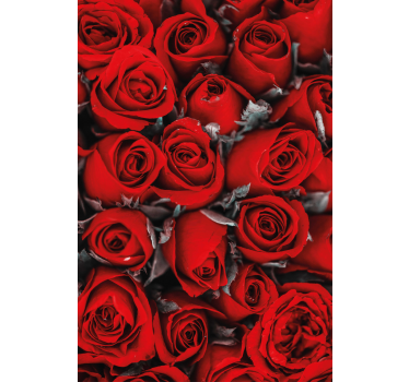 Küchenfenster Rollo rote Rosen - TenStickers