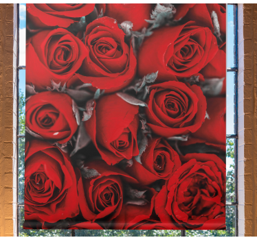 Küchenfenster Rollo rote Rosen - TenStickers