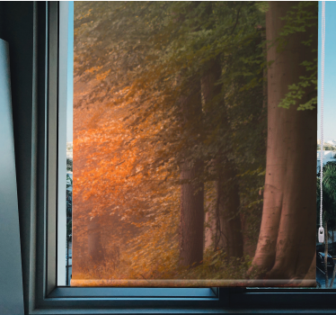 Rollo originell Tiefer fantastischer wald - TenStickers