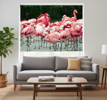 Rollo wohnzimmer mit schönen flamingos im wasser - TenStickers