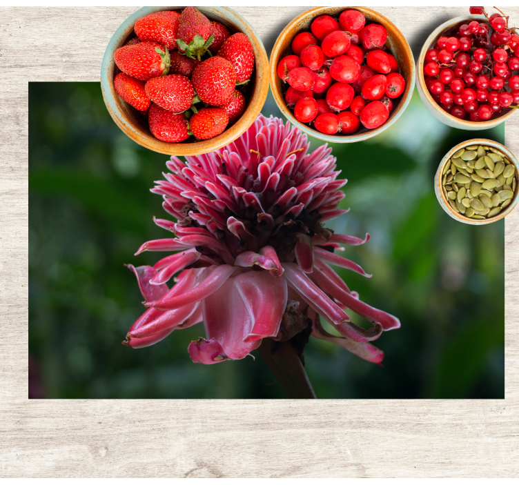 Tischsets originell tropisches blumenarrangement - TenStickers