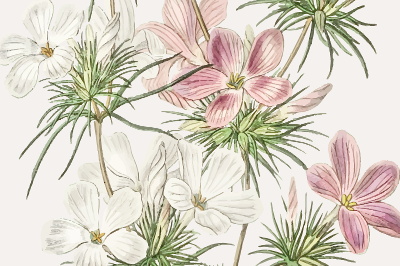 Tischsets originell florales botanisches arrangement - TenStickers