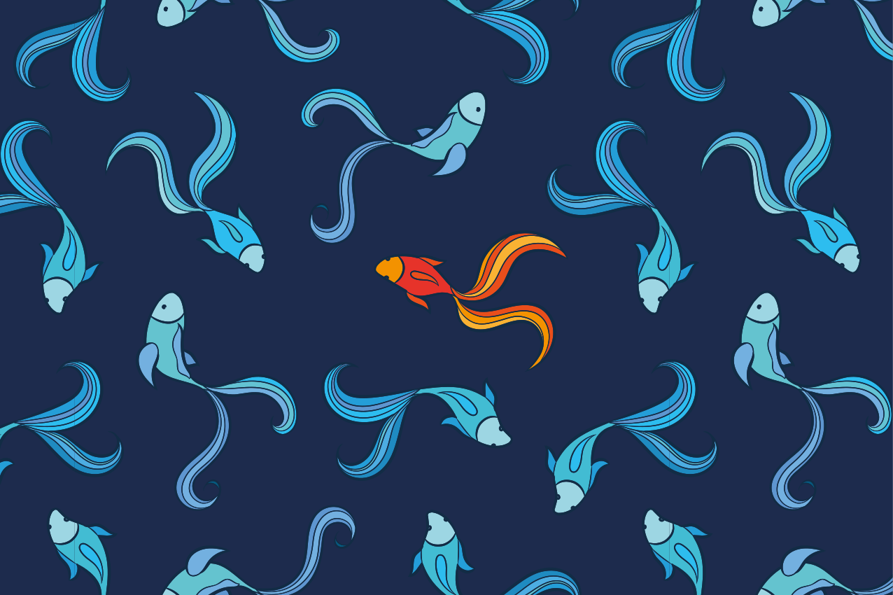 Tischsets originell mit lebhaftem fischmotiv - TenStickers