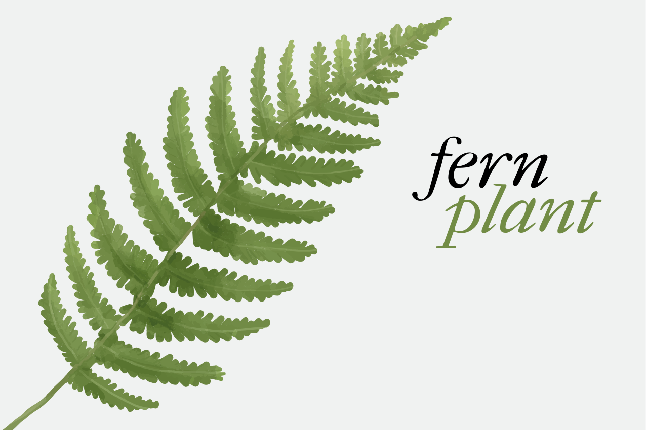 Tischsets originell für pflanzenpräsentation fern - TenStickers