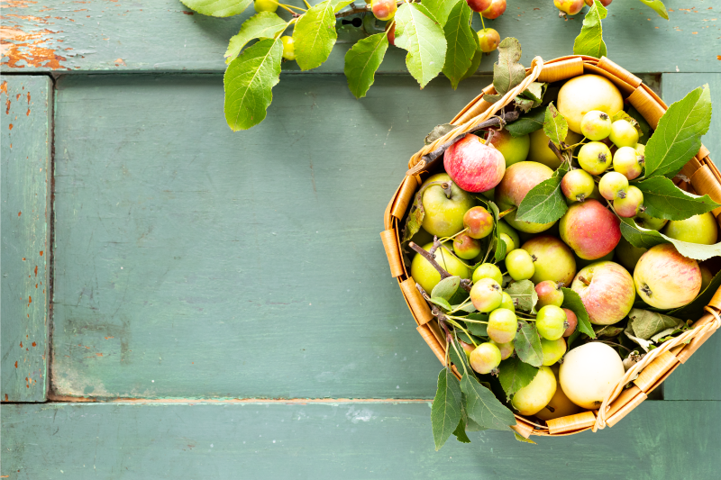 Tischset zuhause obstkorb arrangement - TenStickers