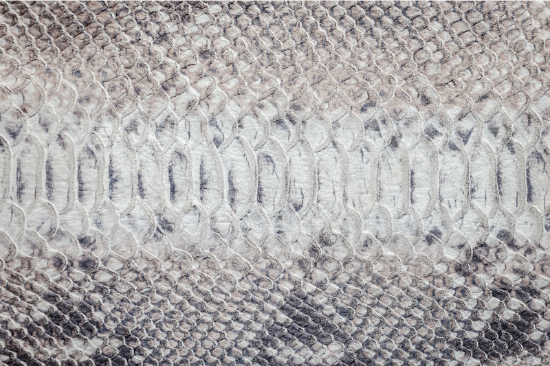 Tischset textur schlangenhaut-optik - TenStickers