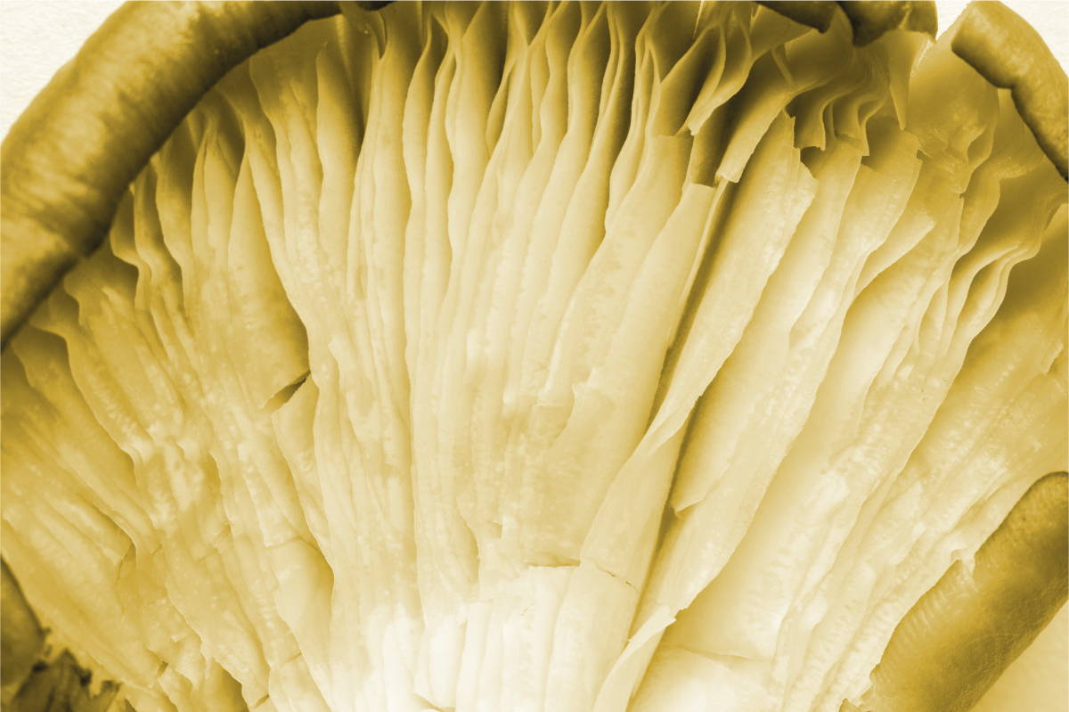 Tischset textur geschwungene blattschichten - TenStickers