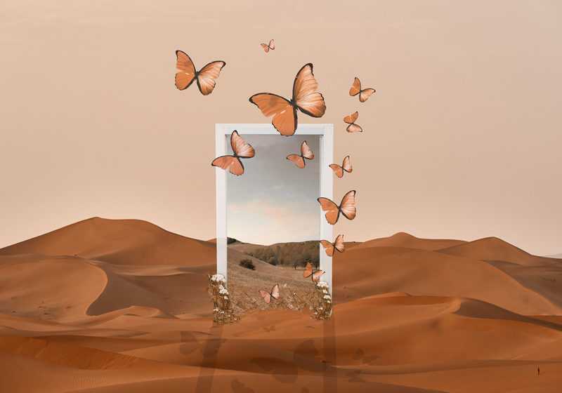 Tischsets originell schmetterlinge im aufbruch - TenStickers