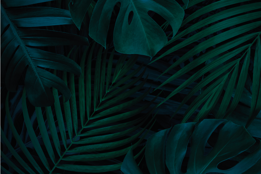 Tischset Textur Waldblätter und Pflanzen - TenStickers