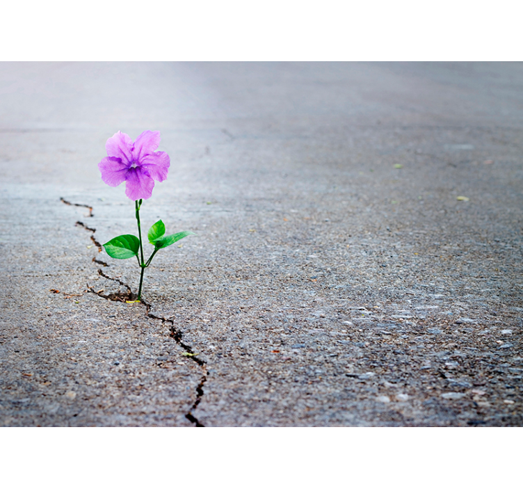 Wandtapete Blume 3D - TenStickers