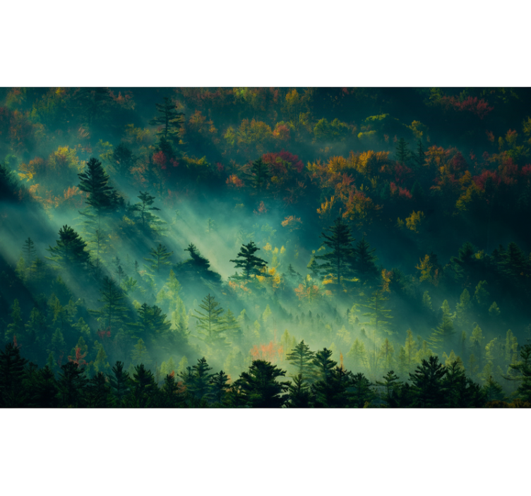 Tapete wald der geheimnisvolle wald - TenStickers