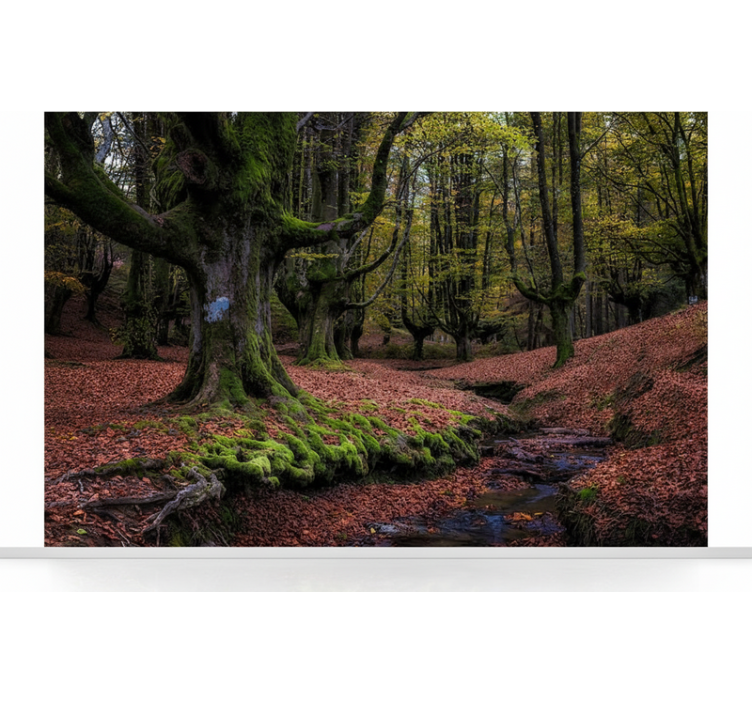 Tapete wald verzauberter herbstwald - TenStickers