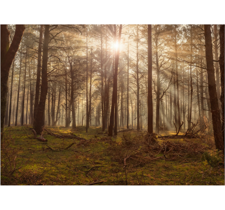 Tapete wald goldene tierwelt lounge - TenStickers