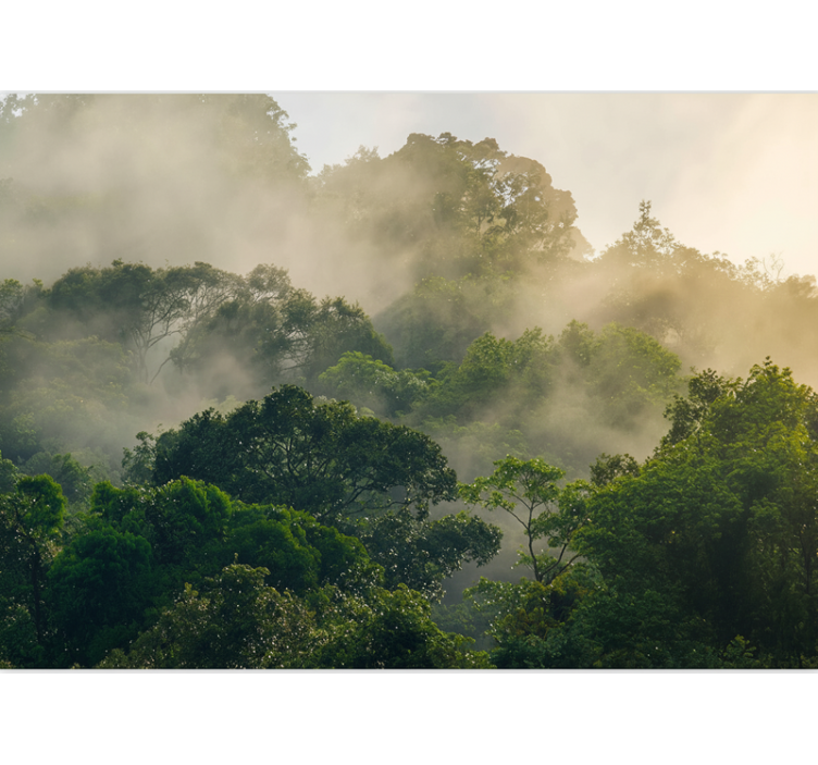 Tapete wald üppiges dschungeldach - TenStickers