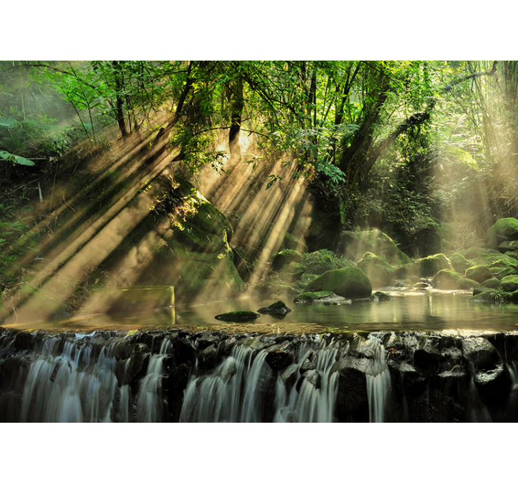 Die geheime Waldlandschaft Fototapete - TenStickers