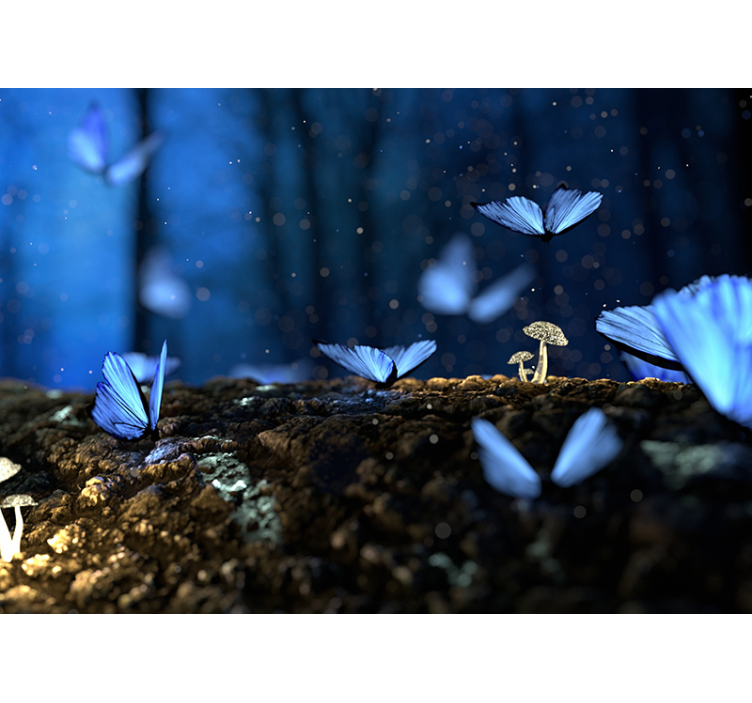 Fototapete Fantasie schmetterlingszauber - TenStickers