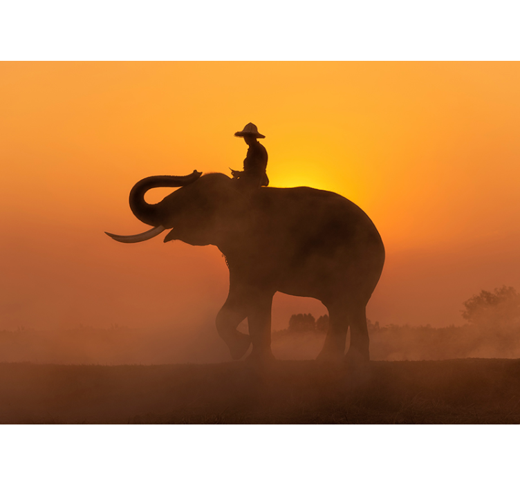 Asiatischer elefant im sonnenuntergang Fototapete - TenStickers