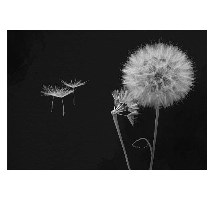 Fototapete Pusteblume elegante silhouetten - TenStickers