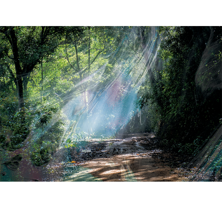 Fototapete wald strahlender waldweg - TenStickers