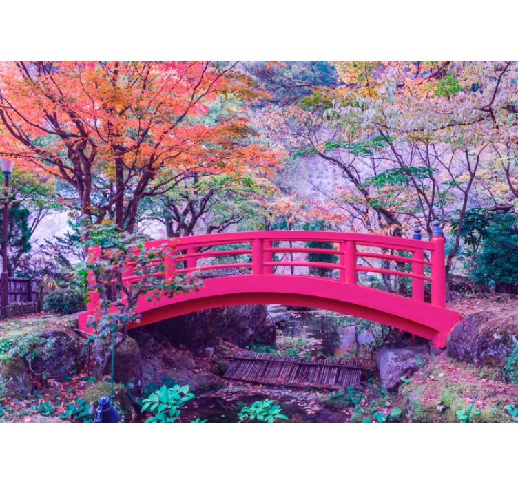 Fototapete wald ruhiger gartenbogen - TenStickers