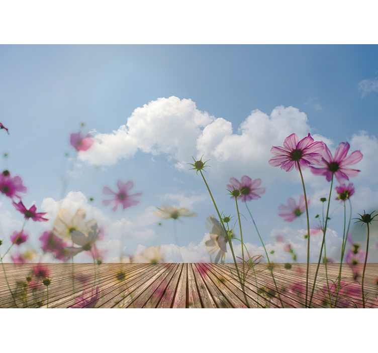 Fototapete Blumen zarte blüten - TenStickers