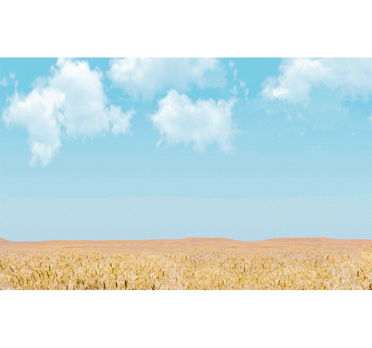 Fototapete Landschaft himmel und weizen - TenStickers