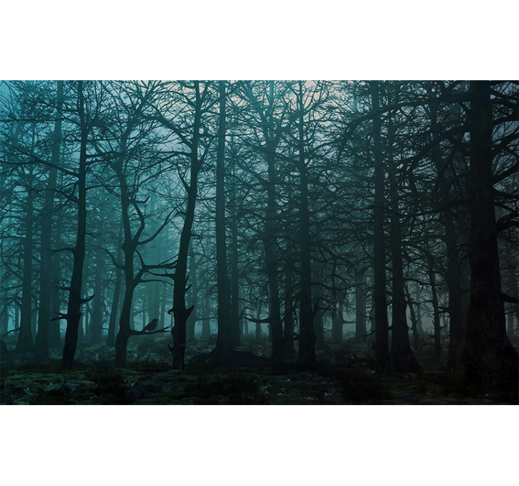 Tapete wald nebelwald landschaft - TenStickers