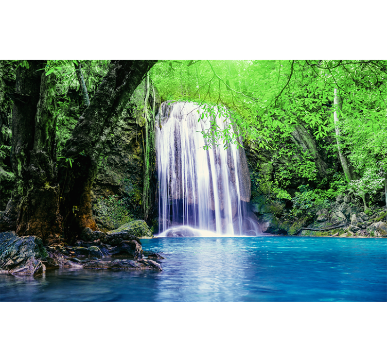 Fototapete wald mit ruhiger wasserfalllandschaft - TenStickers
