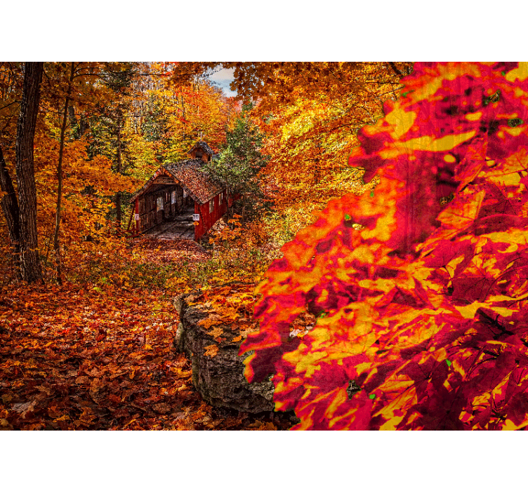 Fototapete landschaft herbst cottage - TenStickers