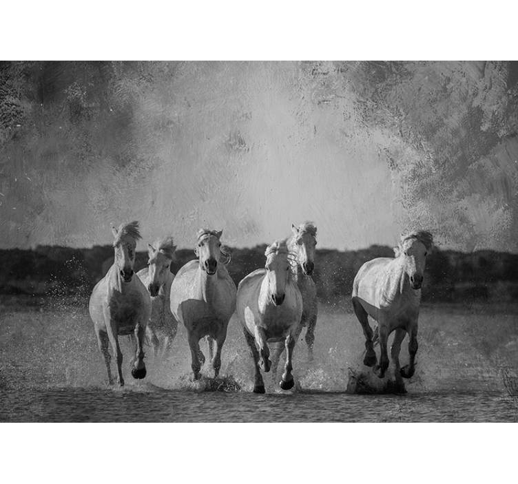 Fototapete tiere laufende weiße pferde - TenStickers